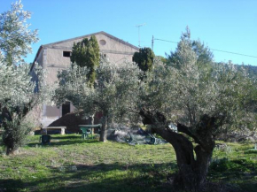 Hotels in Ibi